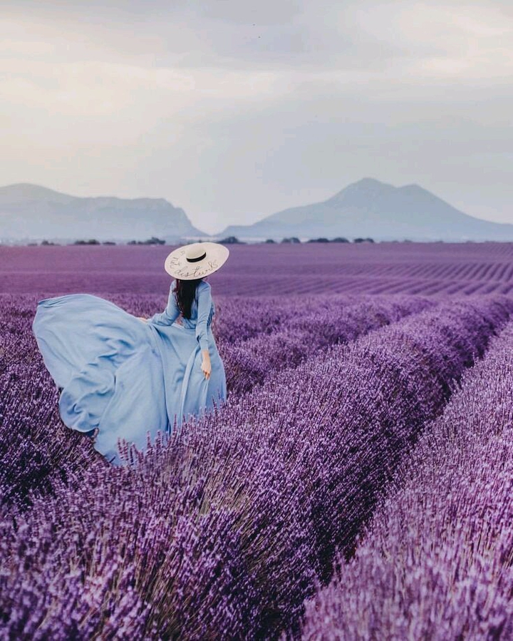 #Purple