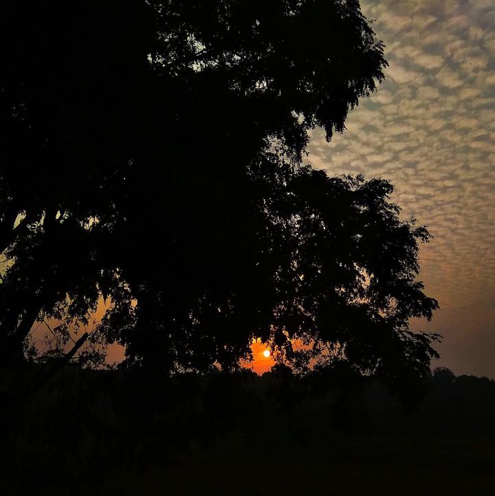 sunset light......the starting of love