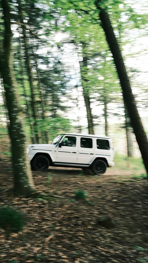 тапети trail, bumper