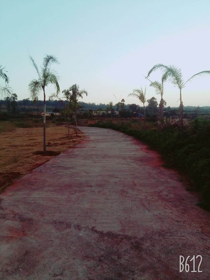 way to my house