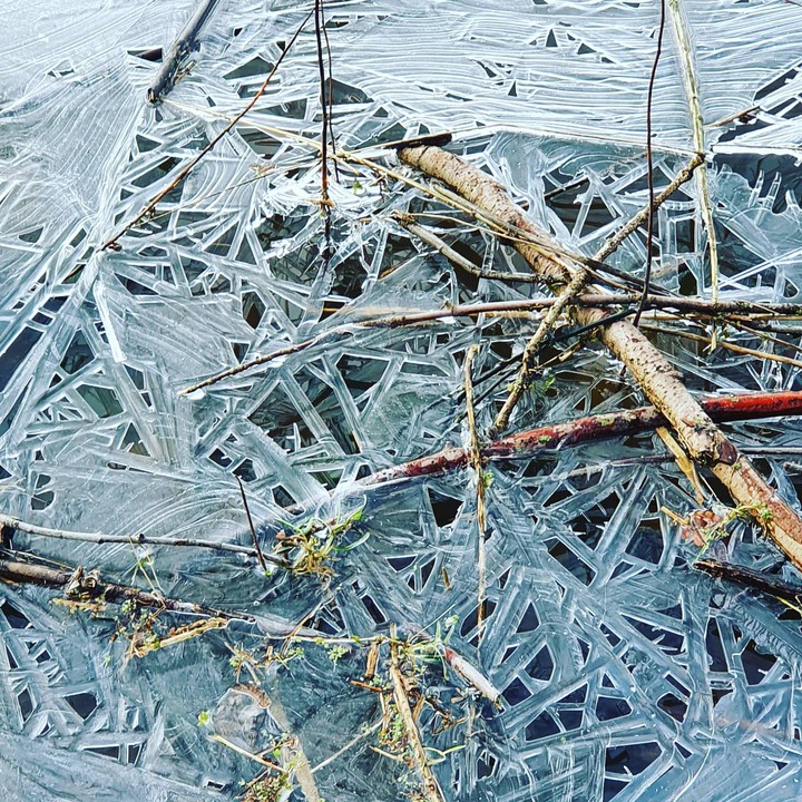 Frozen