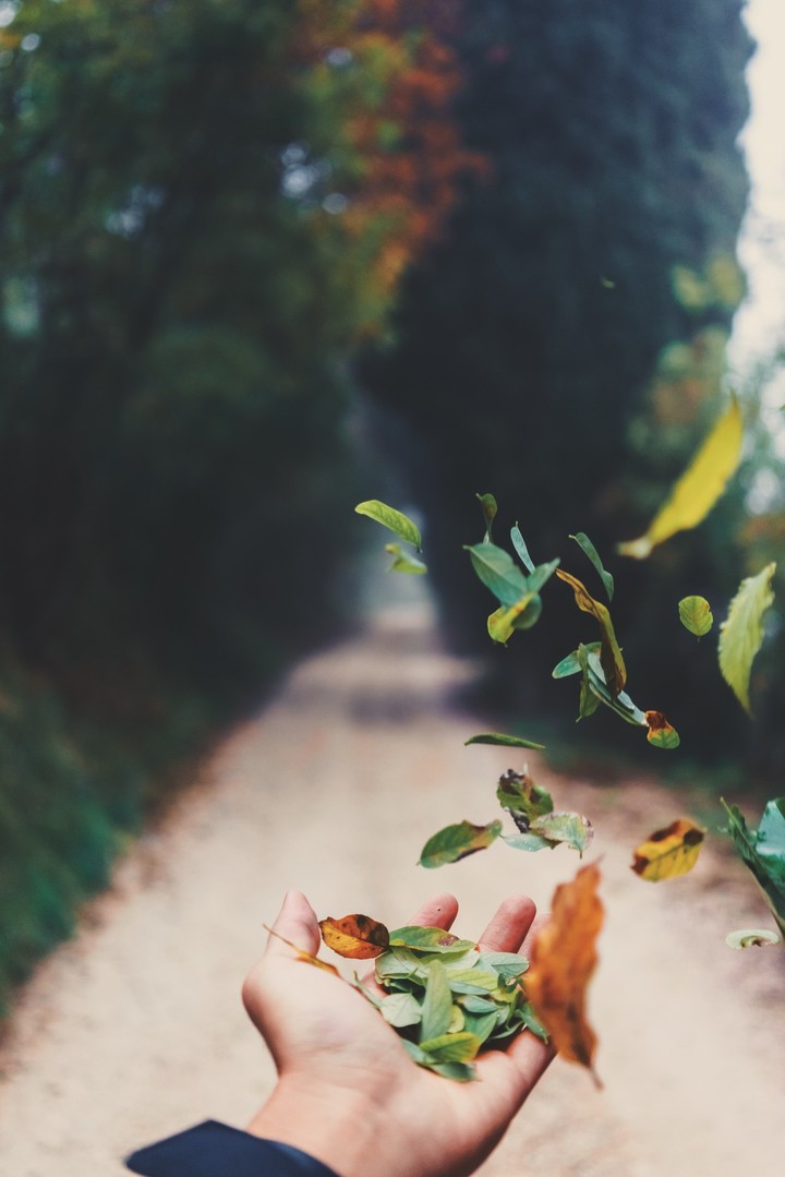 Allure of the nature