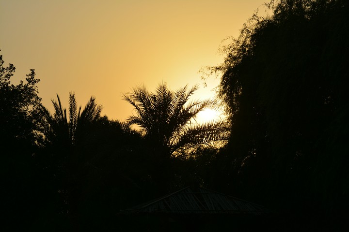 Nature