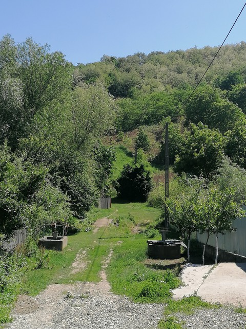 Green path