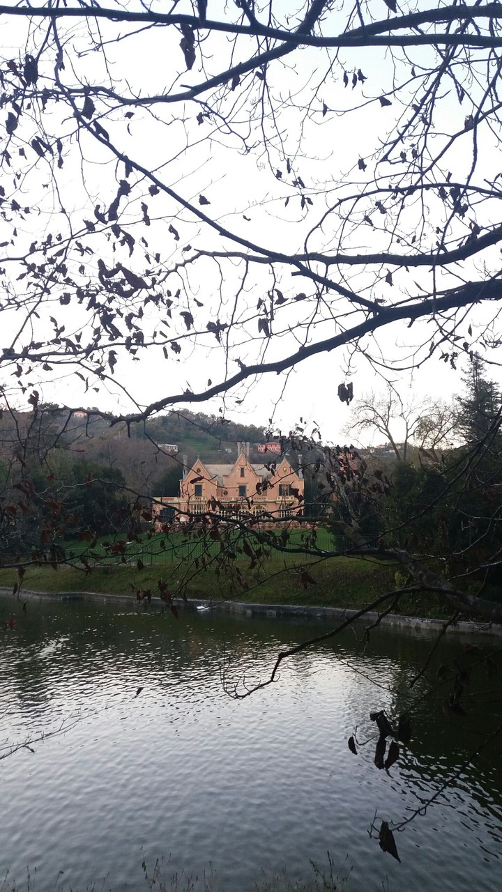 Garden & lakes