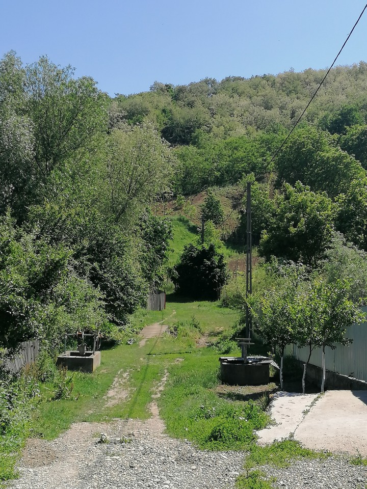 Green path