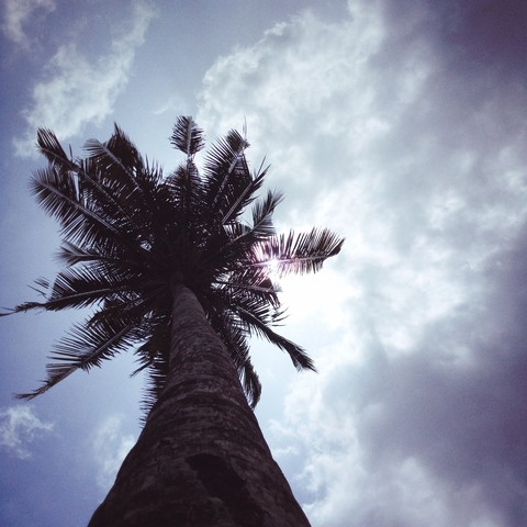 nature beauty
