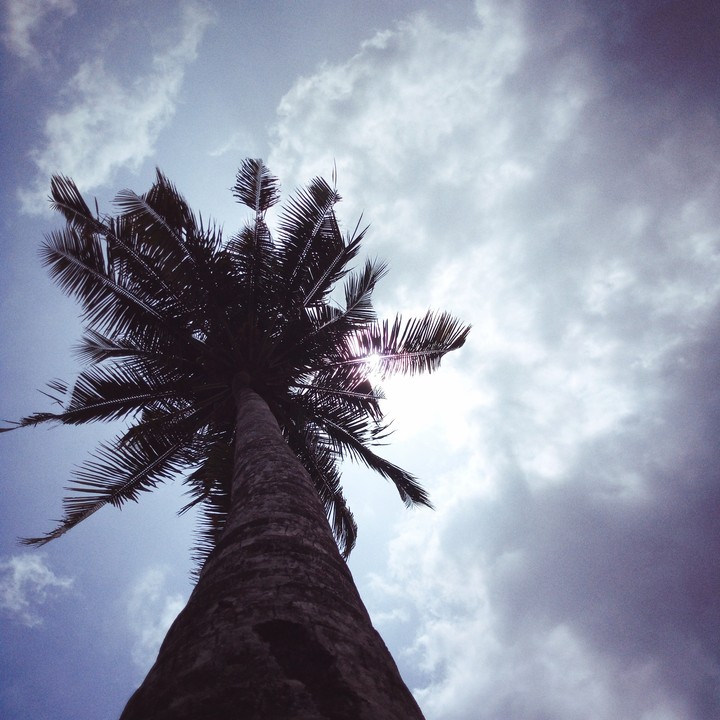 nature beauty