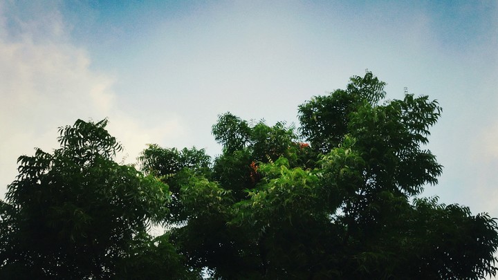reaching new heights