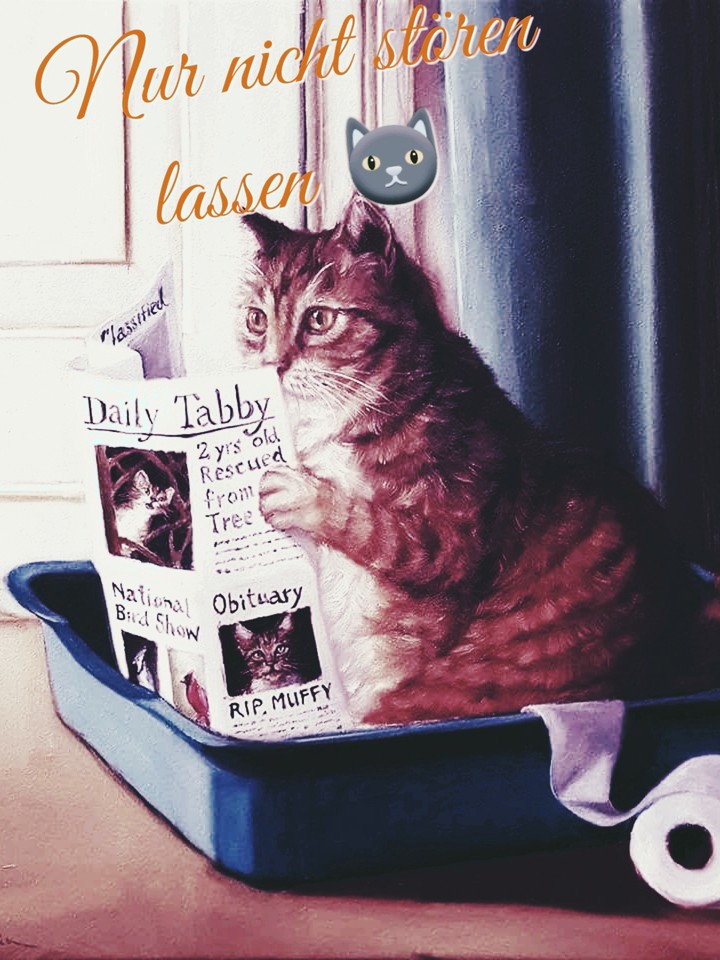 katzenklo