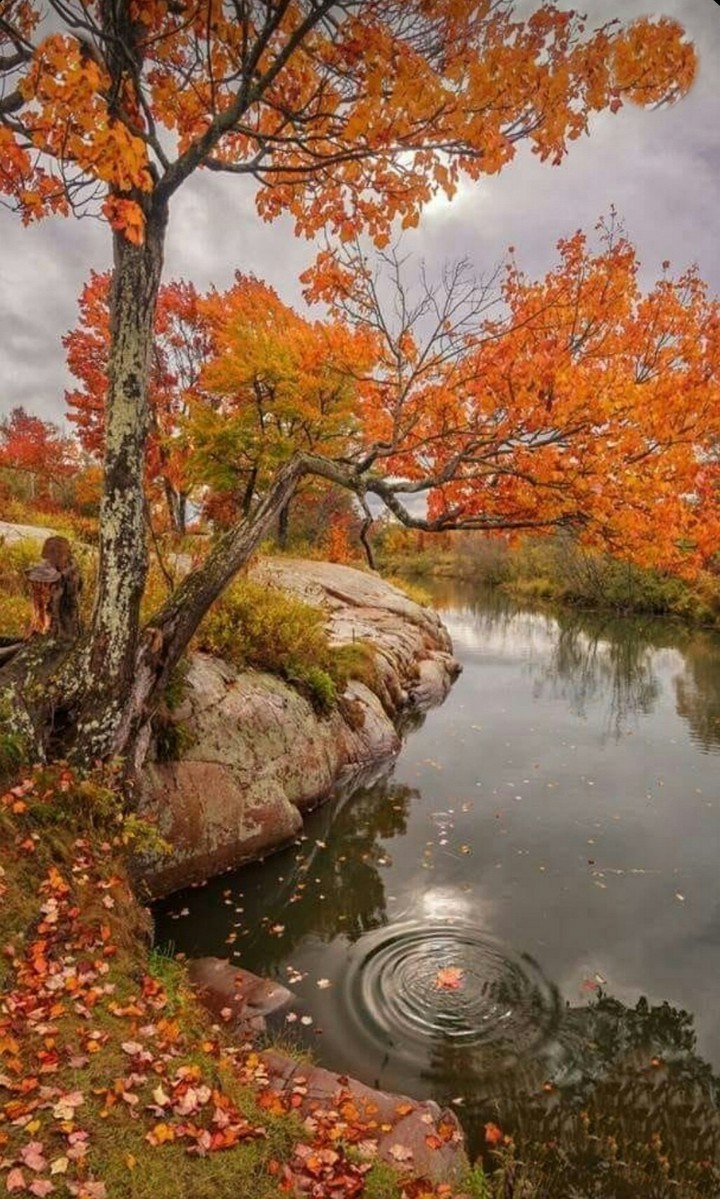 Nature
