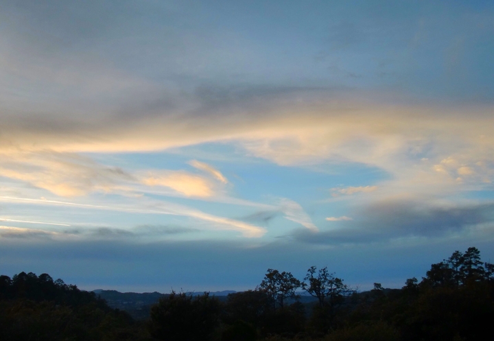 Evening
