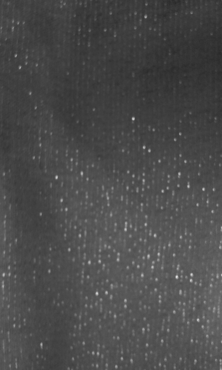 Stars?