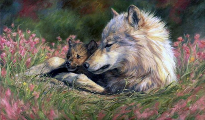 Wolf