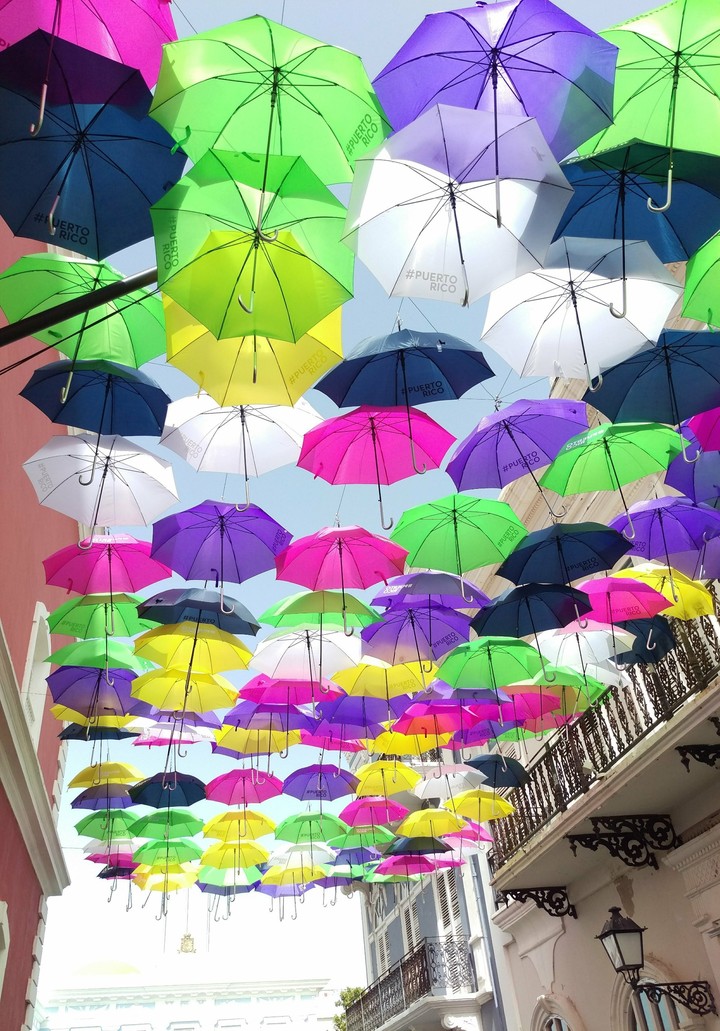 Umbrellas