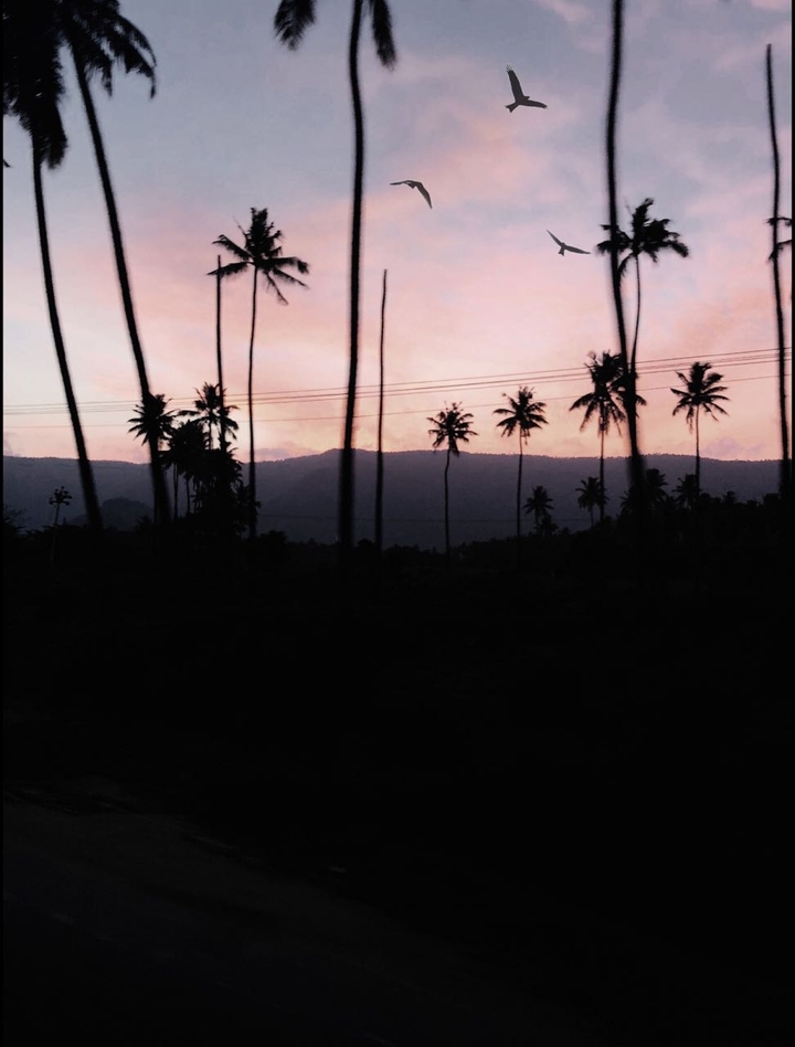 Beauty of Nature