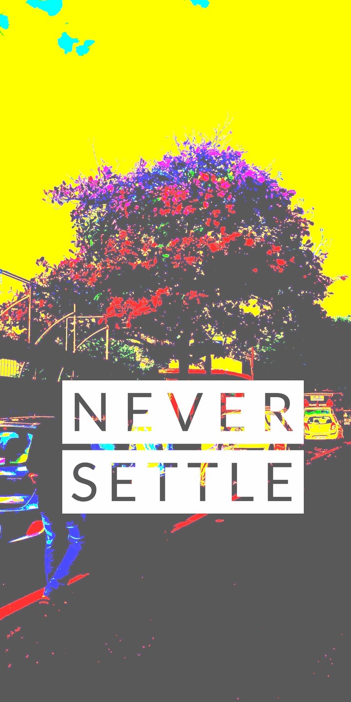 Never Settle