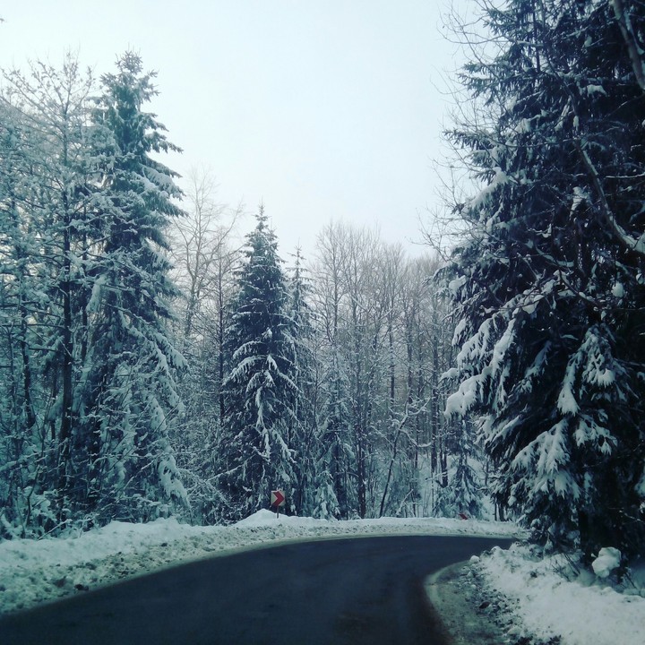 Winter