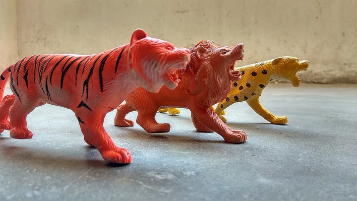 lions