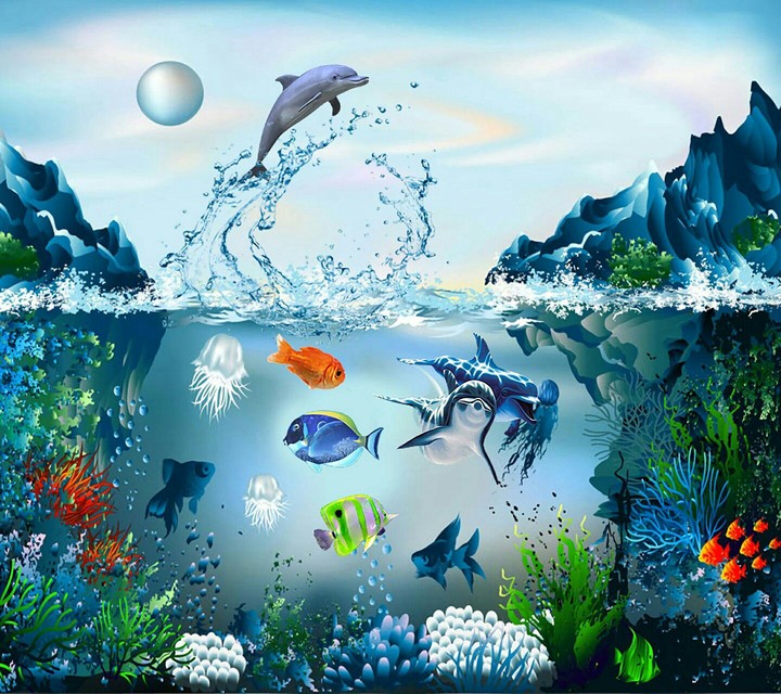 the aquarium