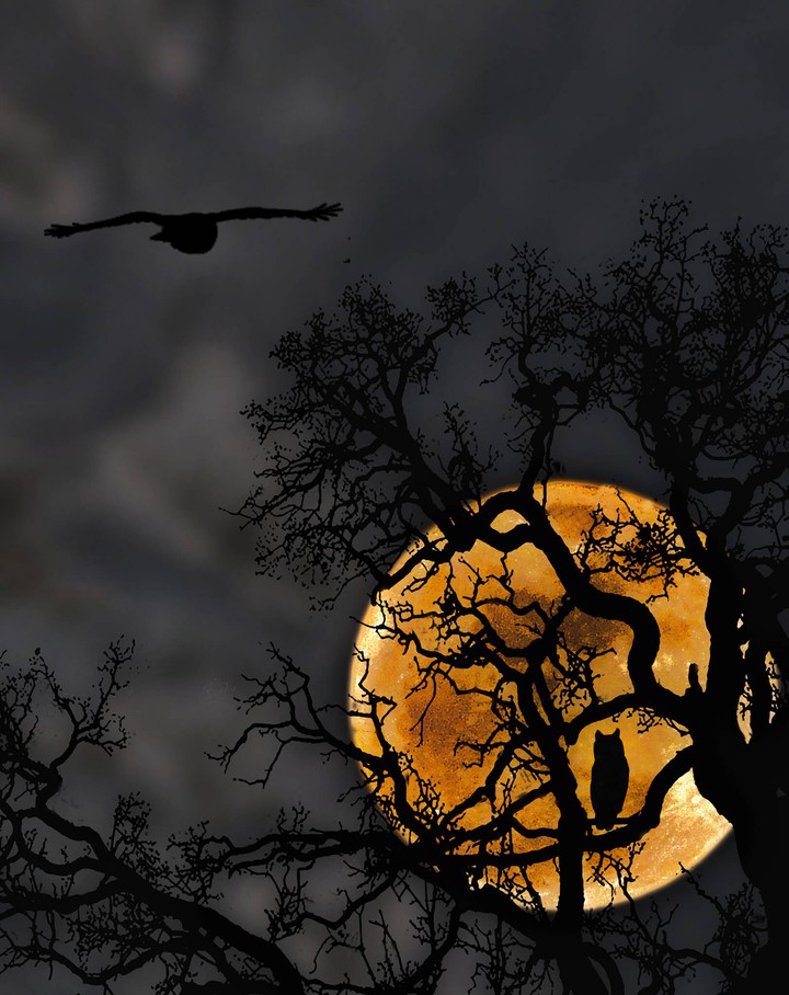 moon