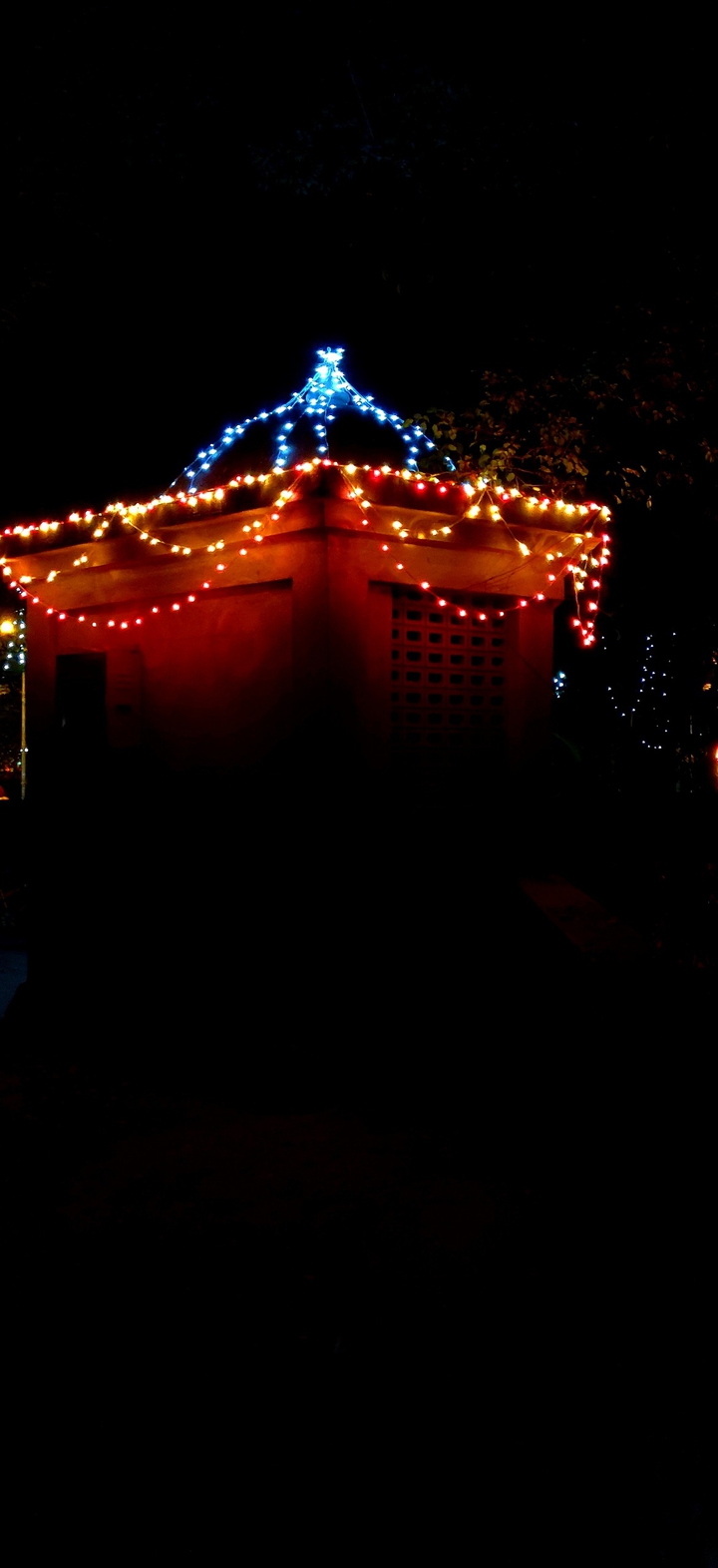 vivid lighting