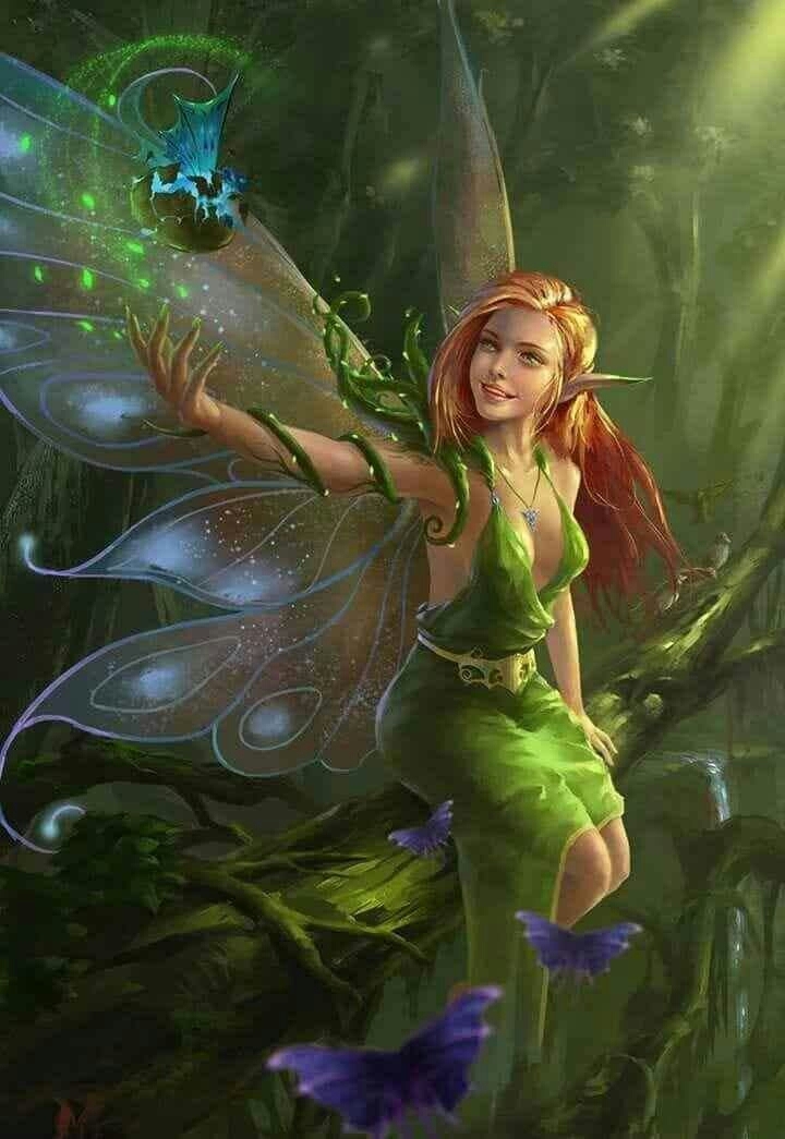 fairy