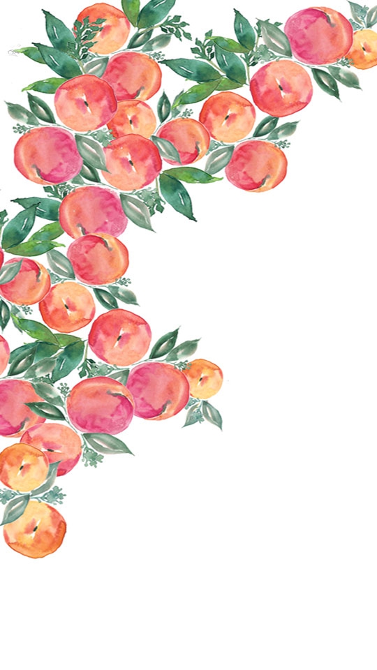 Apricot