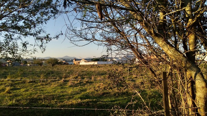 Farm