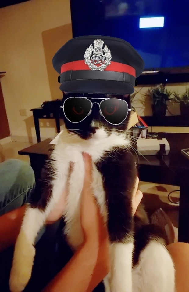 Harumi piloto