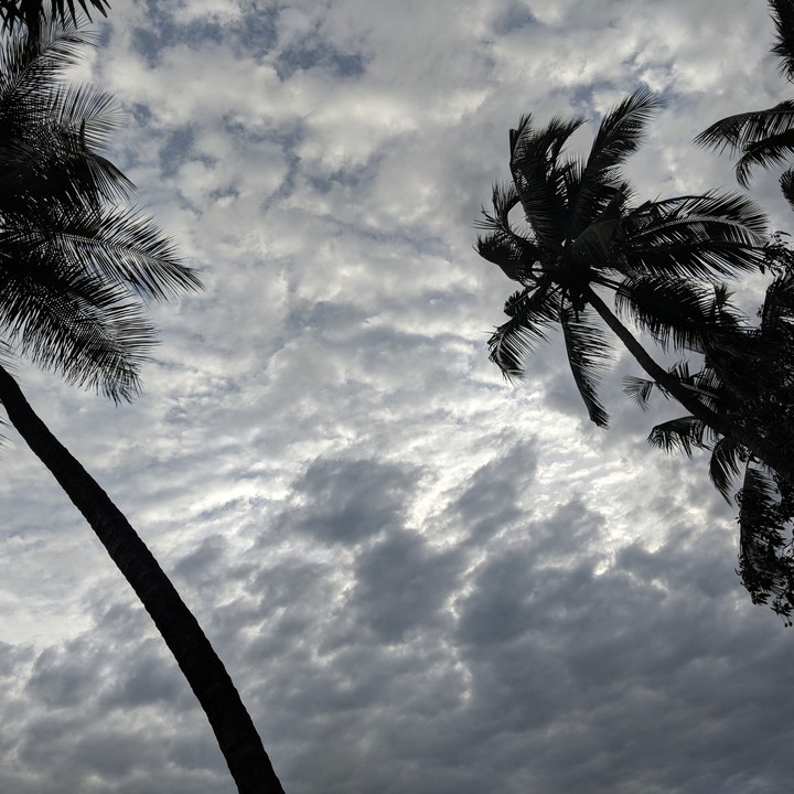 #cloud