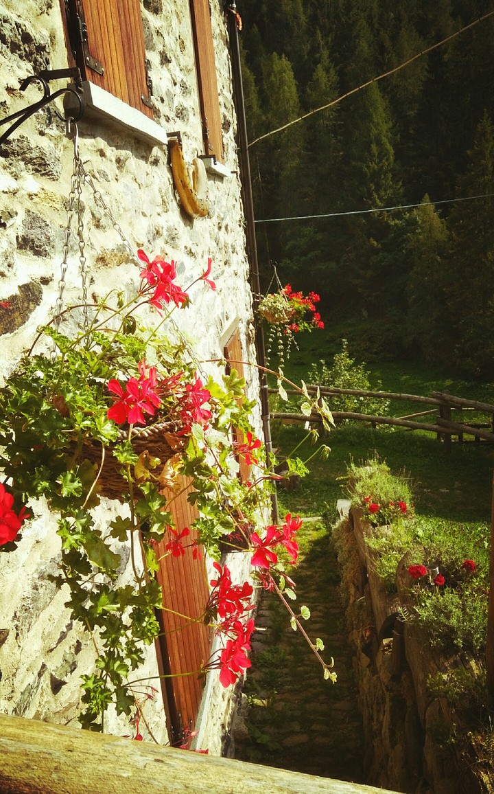 colore