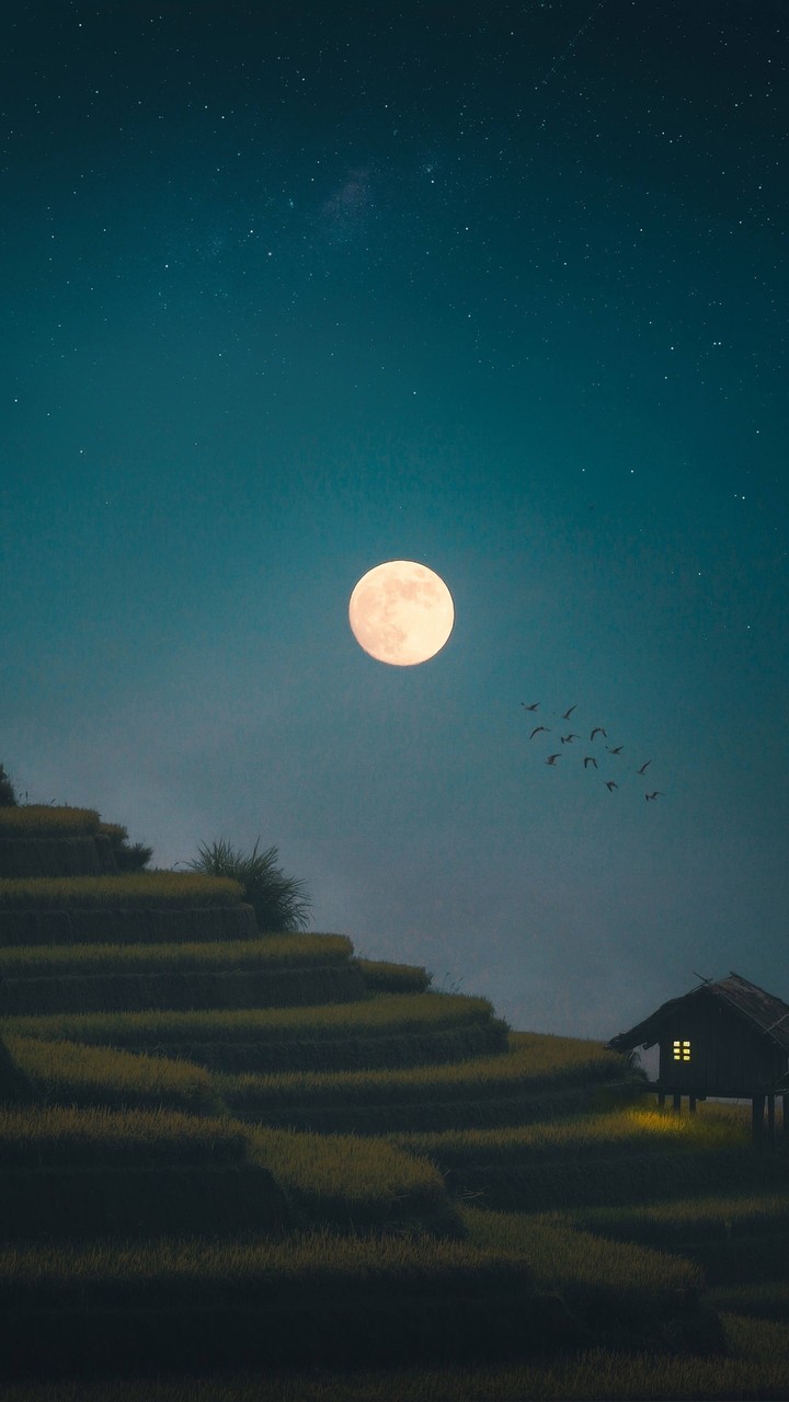 moon with groom