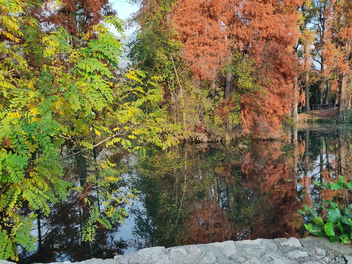 Autumn