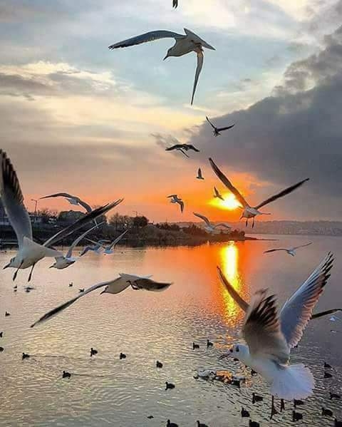 in the morning