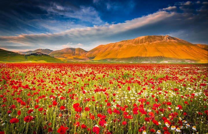 Wonderful Nature