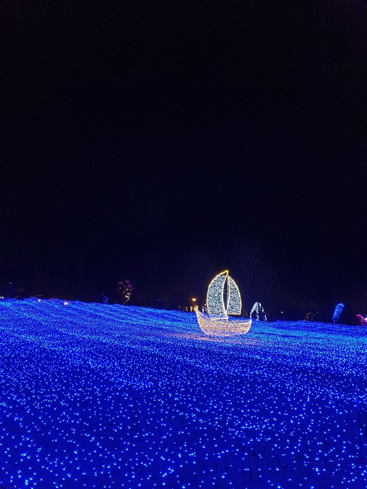 lights