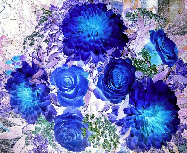 Blue Flowers