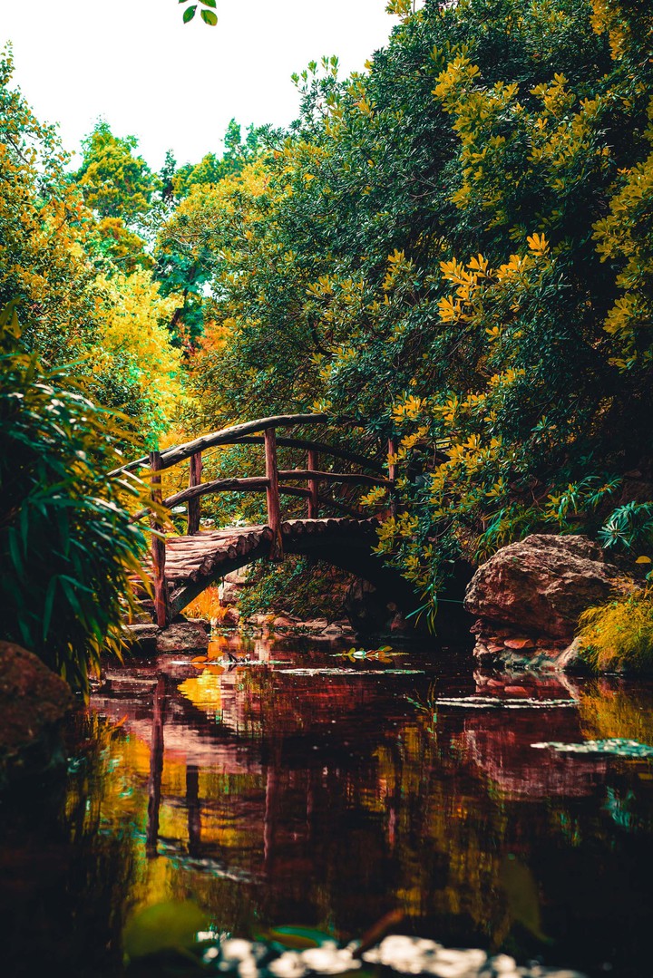 #Nature