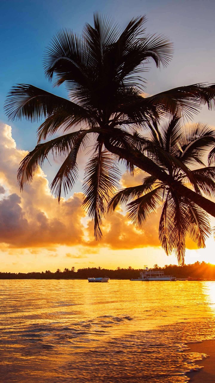 palm beach