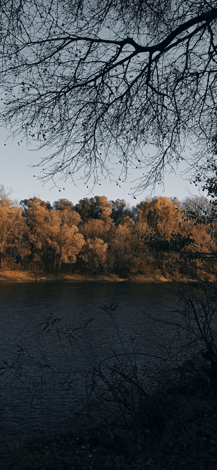autumn