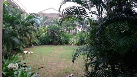 my college ...environment