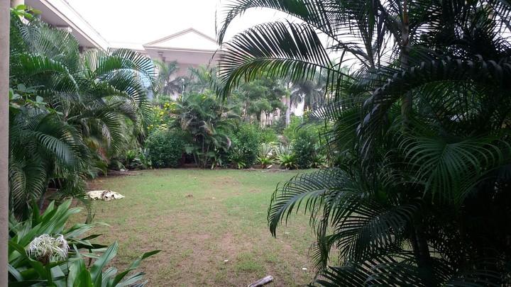 my college ...environment