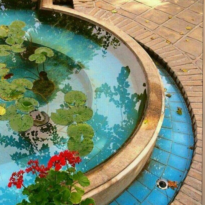 pool