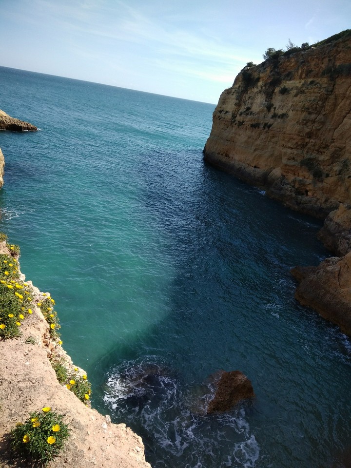 beleza