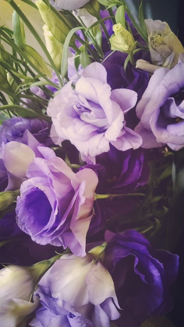 flowers