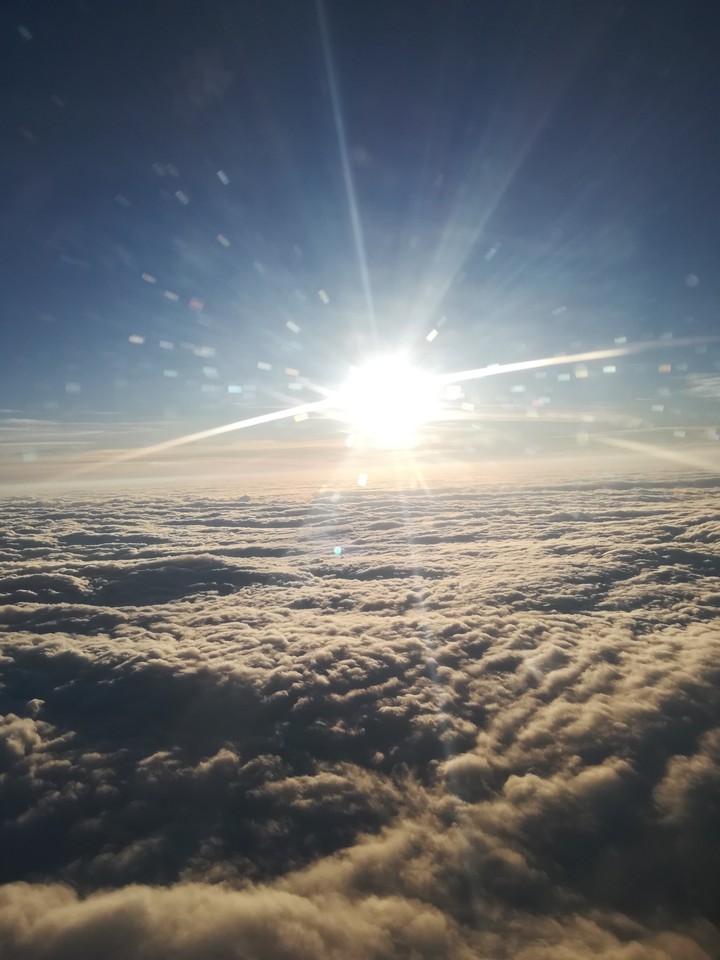 Flying High