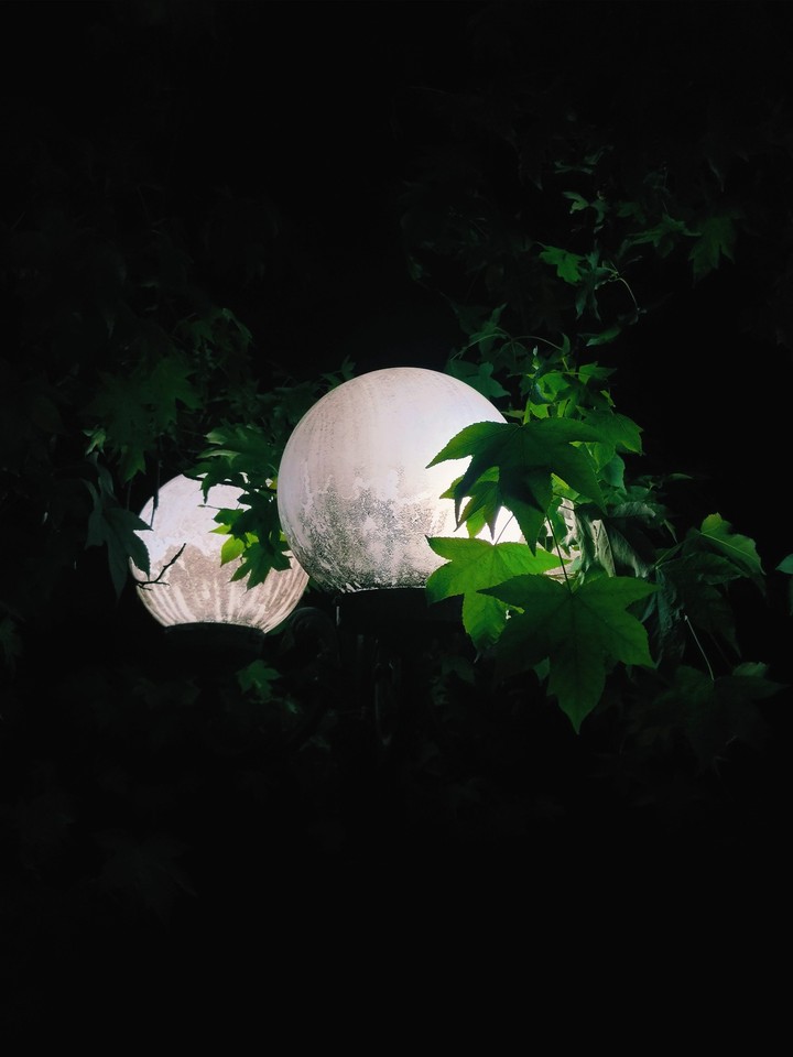 Street Light