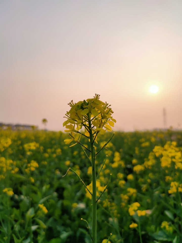 nature
