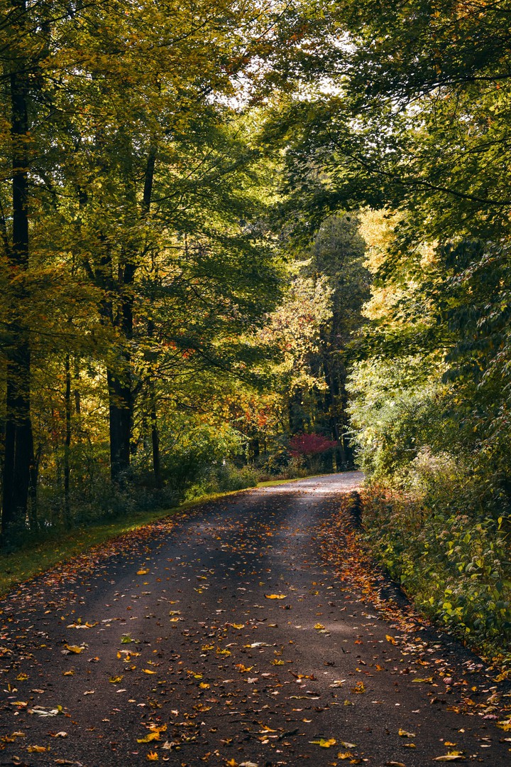 Fall Road
